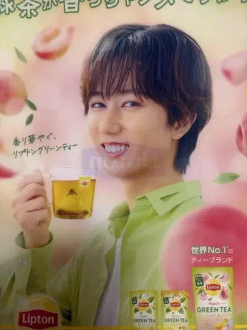 Lipton 아베 료헤이 클리어 파일