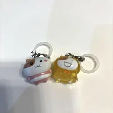 모치냐미 세트