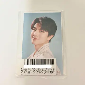 초특급 하루 스크래치 키라리 2025년 7월 미니 브로마이드