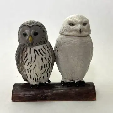 아니아 AS-12 올빼미 & 흰올빼미 단종