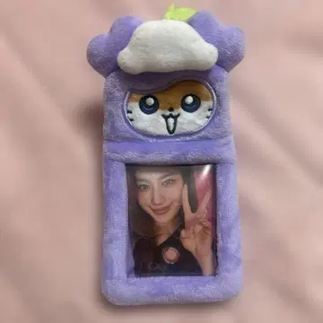 사나 2세트