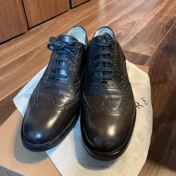 SARTORE 사토레 SR1919 윙팁 가죽 드레스 슈즈