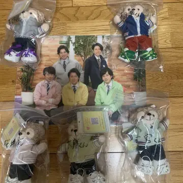 아라시 5인 세트 봉제 인형 5체