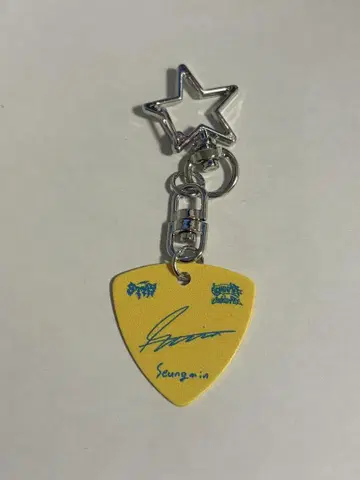 Stray kids celebrate STAY ZONE 피크 승민