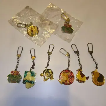 초대 포켓몬 메탈 참 이상해꽃 라이츄 외