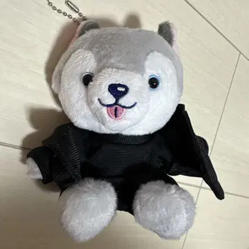 도리견 마츠무라 호쿠토