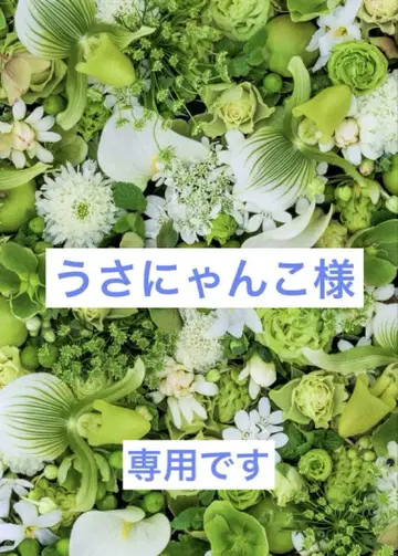 니부시키 기모노