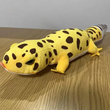레오파의 키이쨩 다정한 봉제 인형