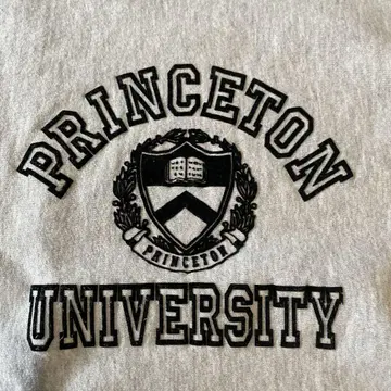 90s 챔피온 리버스 위브 트레이닝복 자수 택 빈티지 L