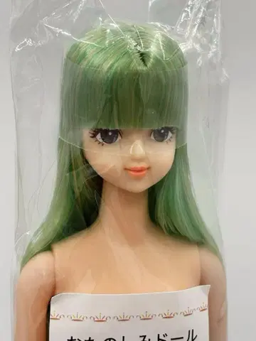사야카 리카짱 캐슬 오타노시미 인형 그린 계열 제니 프렌드