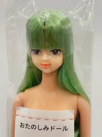 사야카 리카짱 캐슬 오타노시미 인형 그린 계열 제니 프렌드