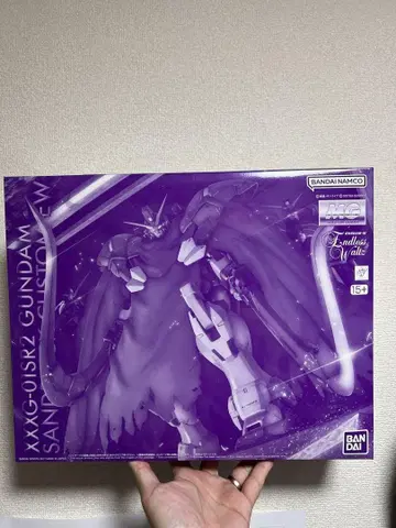 MG 1/100 건담 산드로크 개 EW