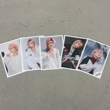 사쿠마 다이스케 공식 사진 묶음 판매