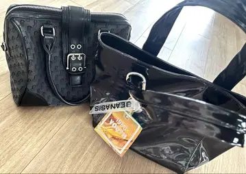 지나시스 세트