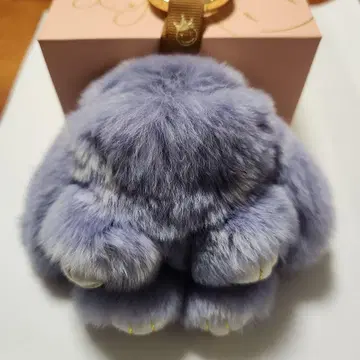 floats !플로츠 포근포근 씨 쉘 목걸이 포함