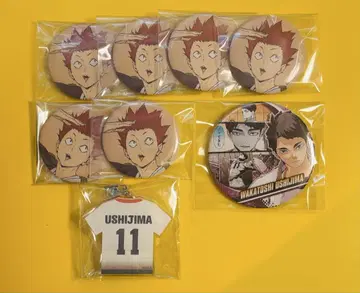 하이큐 토리자와 우시지마 와카토시 텐도 사토리