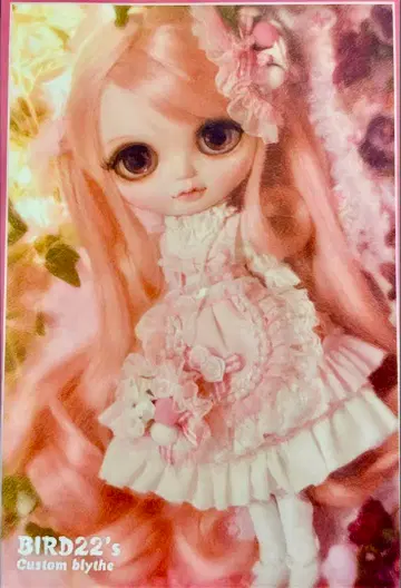 3일 한정 가격 미개봉 커스텀 브라이스 BIRD22님 꿈의 여아