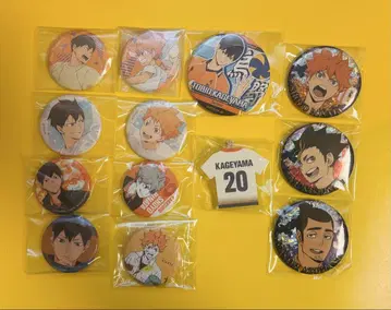 하이큐 히나타 쇼요 카게야마 토비오 아즈마네 아사히 니시노야 유우