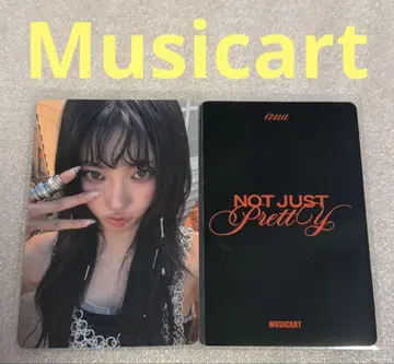 izna Not Just Pretty Musicart 코코