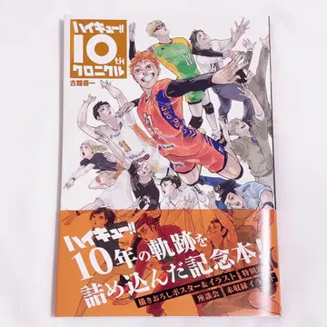 하이큐!! 10th 크로니클