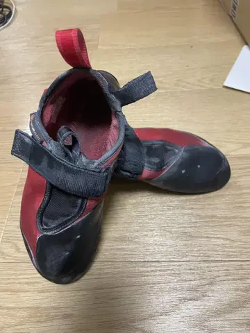 안패러렐 레굴루스lv