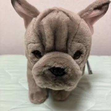 프렌치 불독 봉제 인형 약 20cm
