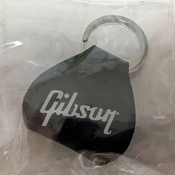 Gibson 키케이스
