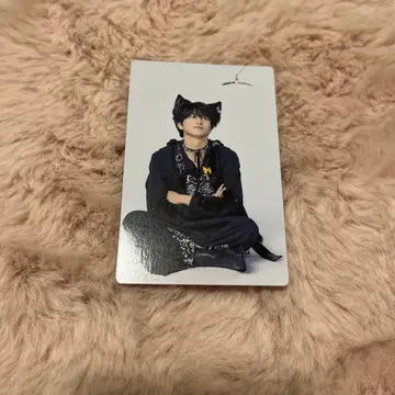 초특급 트레이딩 카드 하루