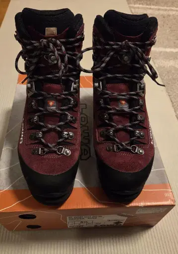 LOWA 로버 MOUNTAIN EXPART GTX EVO Ws