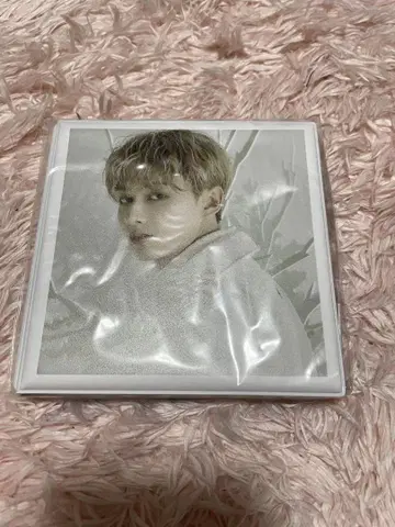 SEVENTEEN POWER OF LOVE 준 컬렉션 박스