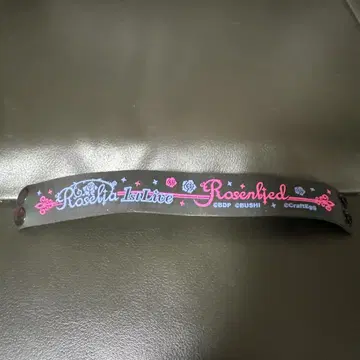 Roselia 1stLIVE Rosenlied 러버 밴드