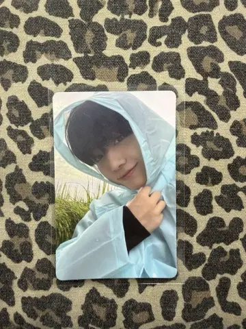 BOYNEXTDOOR The action 럭키 드로우 재현
