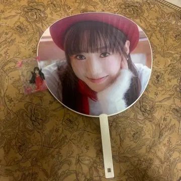 시미즈 케이코의 부채와 트레이딩 카드