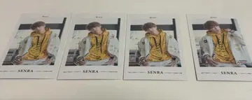 센라 폴라로이드 4장