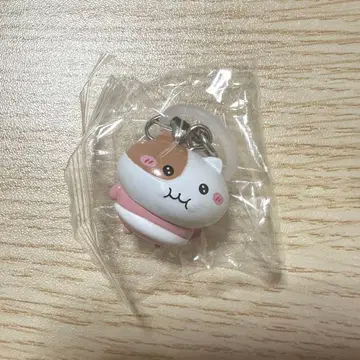 모치냐미 메지루시 액세서리 가챠 4