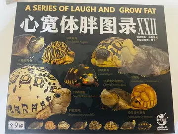 심관체팽도록 XXII 거북 피규어 세트