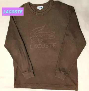 LACOSTE 브라운 트레이닝복 US L