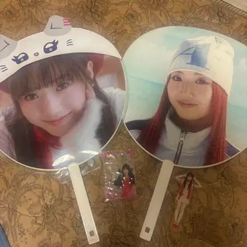 시미즈 케이코짱 세트
