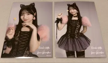 백조 사렌 AKB48 다이마루 도쿄점 대의상전 랜덤 브로마이드