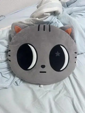 TXT 뿔바투 다고냥 페이스 쿠션 태현