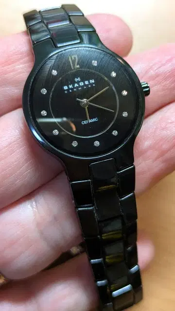 SKAGEN 레이디스 워치