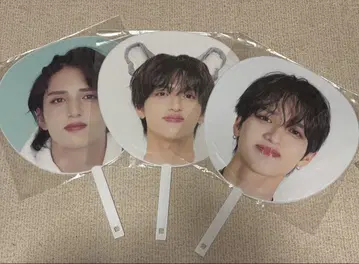 BUGVEL MAHIRO 부채 세트