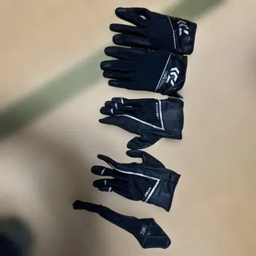 솔티가 다이와의 그로브