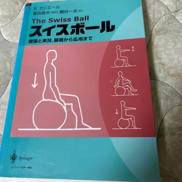 The Swiss Ball 스위스 볼
