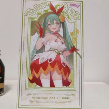 하츠네 미쿠 Wonderland 피규어