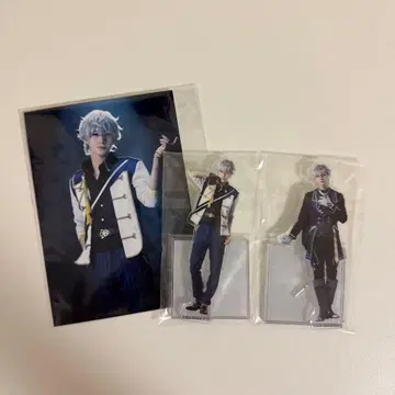 앙스테 체크메이트 세나 이즈미