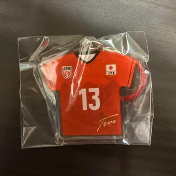 남자 배구 일본 대표 오가와 토모히로 가챠가챠 메지루시 참