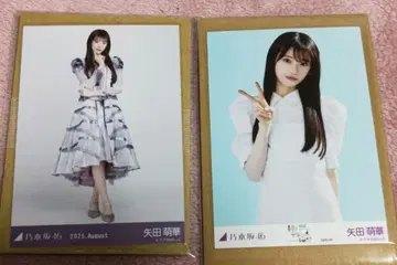 노기자카46 야타 모에카 사진