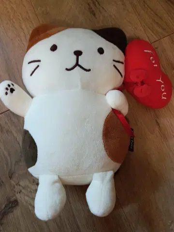 고양이 봉제 인형과 하트 모양 쿠션