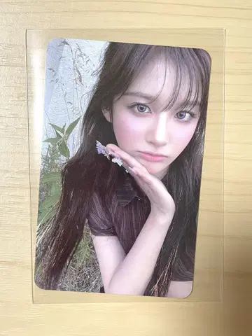 NMIXX 엔믹스 Blue Valentine 트레이딩 카드 설윤